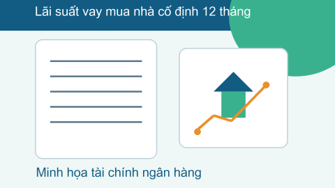 lãi suất vay mua nhà cố định 12 tháng minh họa